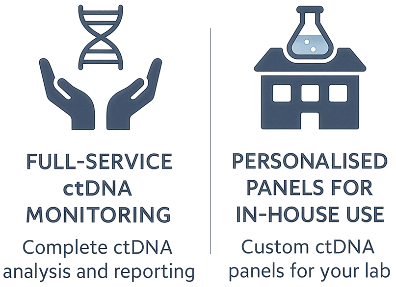 Service model - both services - transparent